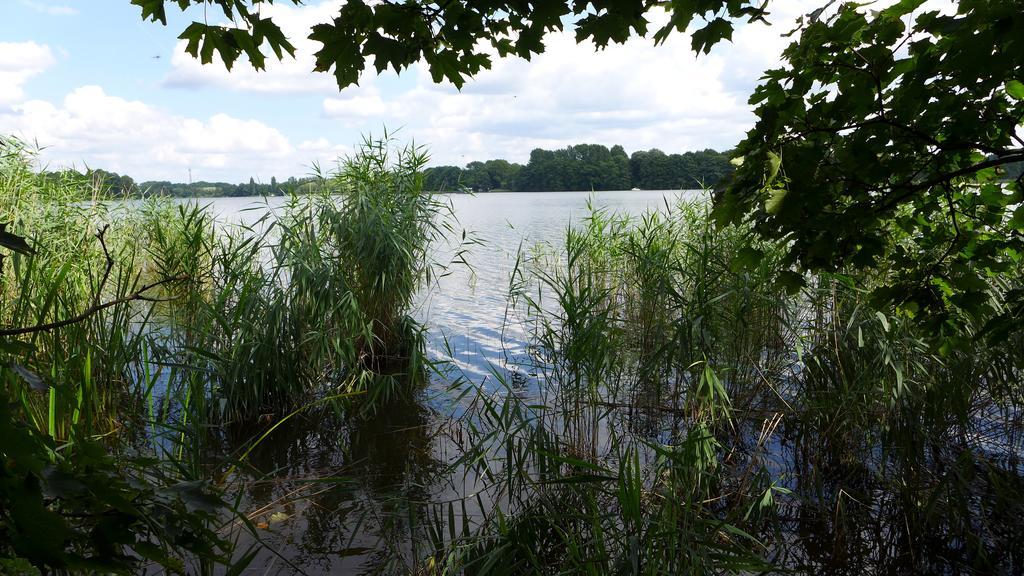 Ferienhaus Natura Neuruppin Kamer foto