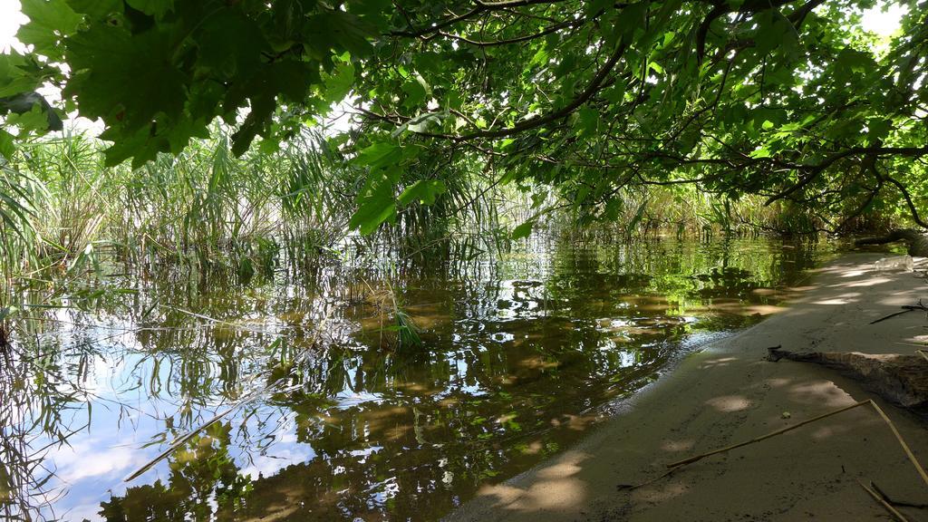 Ferienhaus Natura Neuruppin Kamer foto